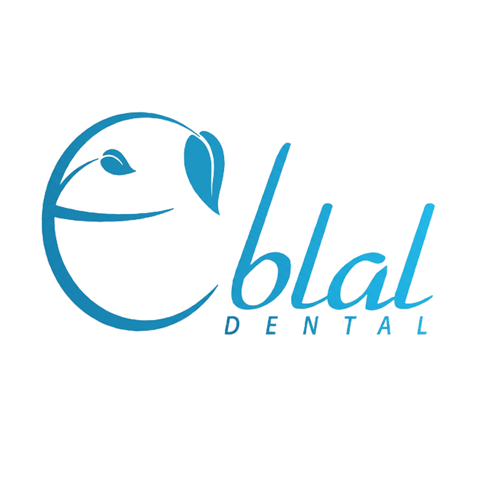 Diamond Sponsor 2